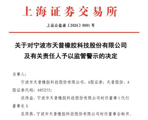 AI軟件開發(fā)公司突遭證監(jiān)會立案調查，行業(yè)監(jiān)管風暴或將開啟